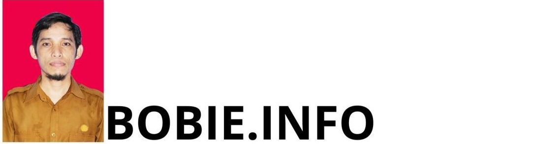 BOBIE.INFO (2)