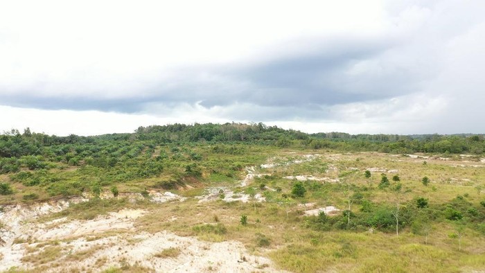 tanah