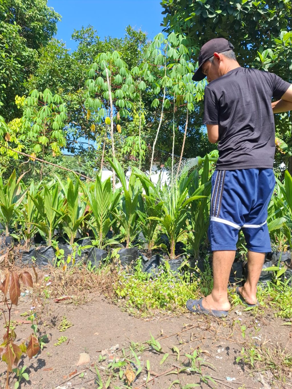 WhatsApp Image 2025-10-16 at 12.35.53