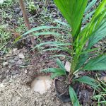 WhatsApp Image 2025-12-19 at 08.46.54