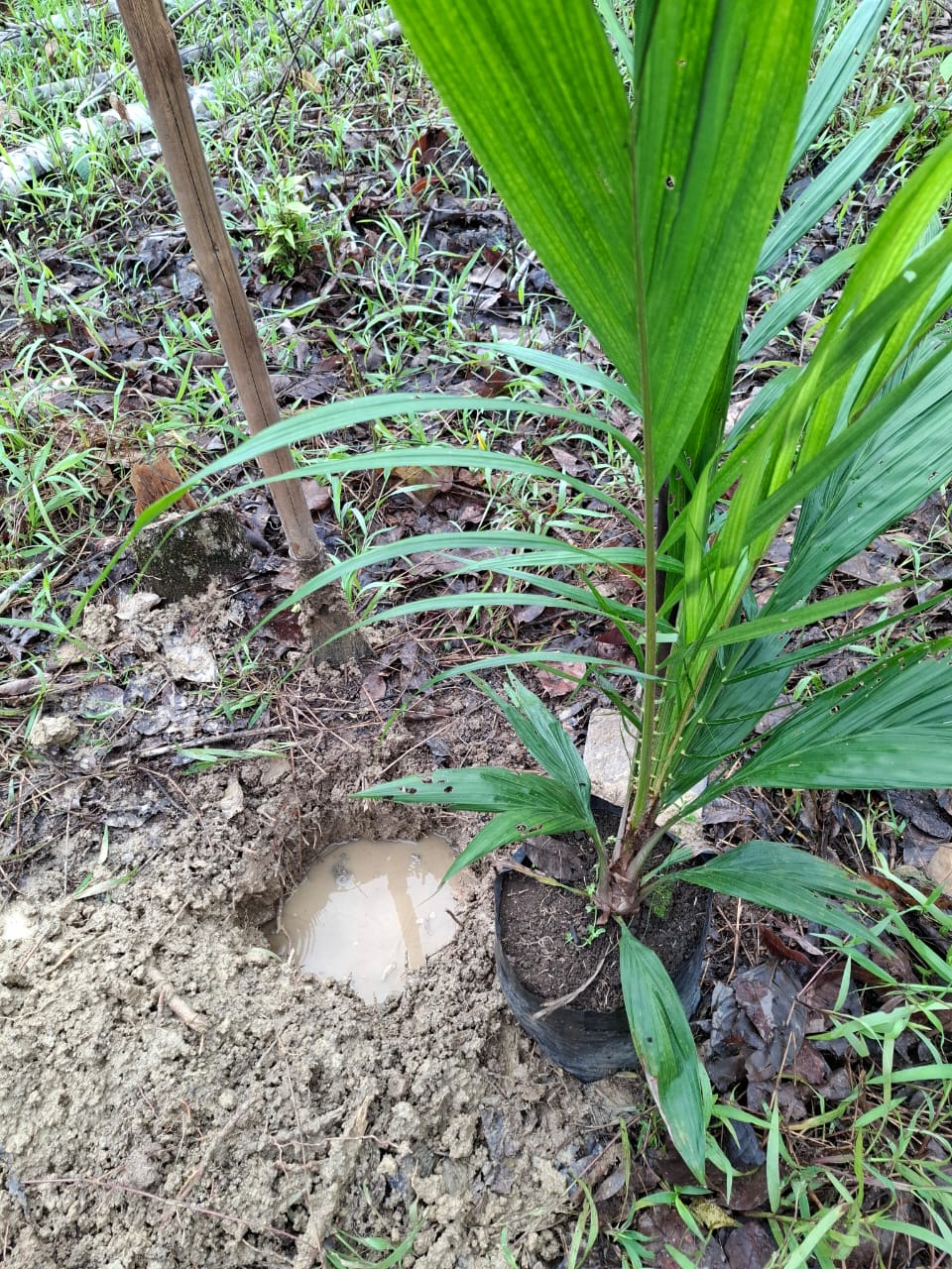 WhatsApp Image 2025-12-19 at 08.46.54