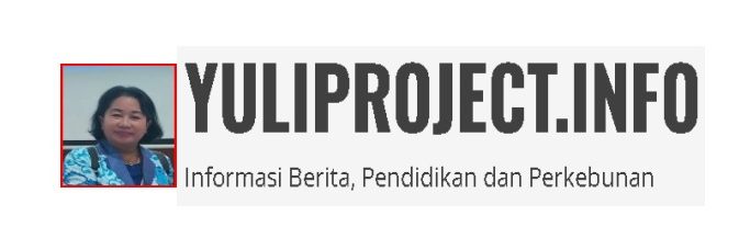 YULIPROJECT.INFO